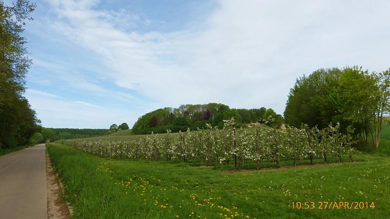 7de Nonkelfransrit op 27-4-2014 (98).jpg